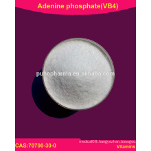 Adenine phosphate powder/ Vitamin B4/70700-30-0/ USP